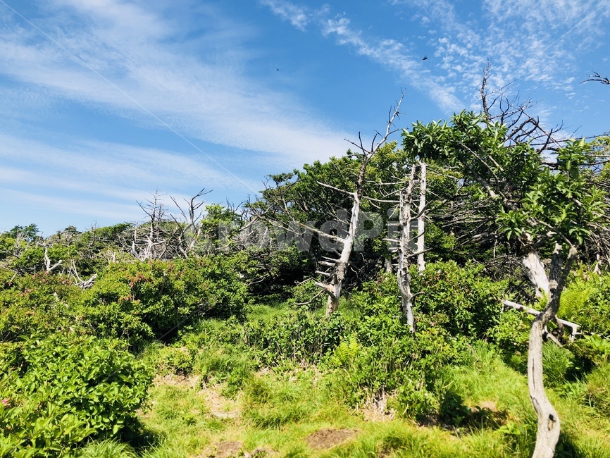 제주도,자연,풍경,산,하늘,jeju,landscape,nature,mouantain,sky,구름,cloud