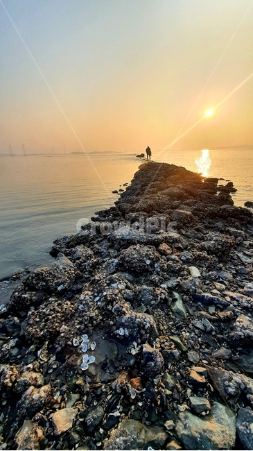 바닷길,바다,갯벌,sea,석양