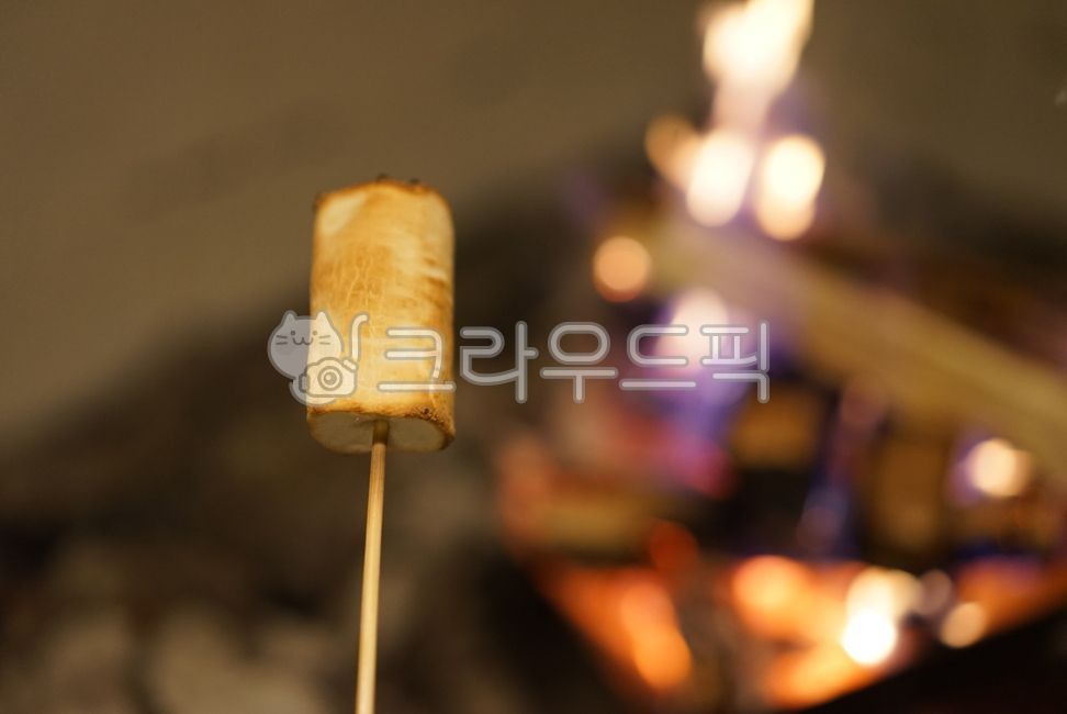 camping,marshmallow,fire,camping cooking,campfire,Camping