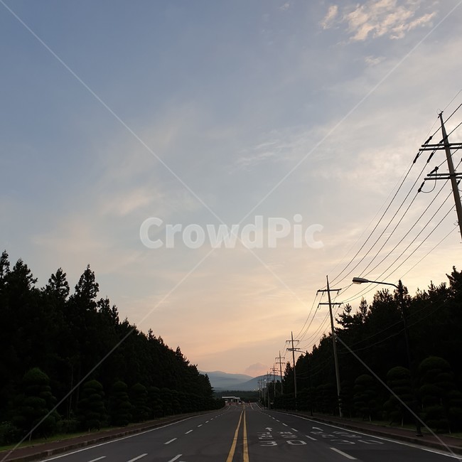 도로,나무,노을,자연,전봇대,산,road,freeway,고속도로,highway,풍경,계절,봄,여름,가을,그라데이션,전기줄,소소하게,제주,삼다수공장,제주삼다수공장