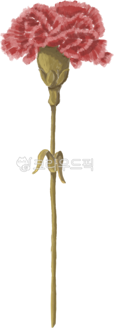 카네이션,꽃,꽃일러스트,스승의날,어버이날,졸업식,생신,은사,감사,감사합니다,엄마,아빠,선생님,교수님,flower,red,붉은
