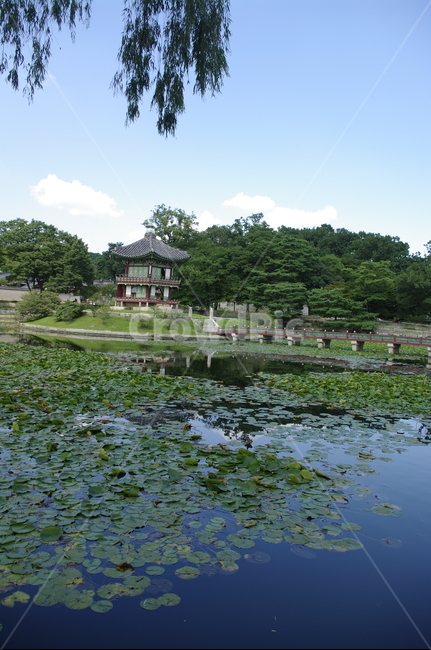 경복궁,향원정,연못,풍경,고궁,건축,전통건축,traditional,전통,기와지붕,한국전통,한국문화,korean traditional,korean culture