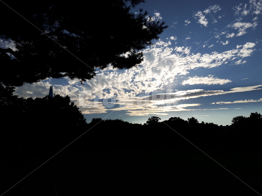 하늘,구름,나무,풍경,자연,자연,풍경,nature,landscape,outdoors,옥외