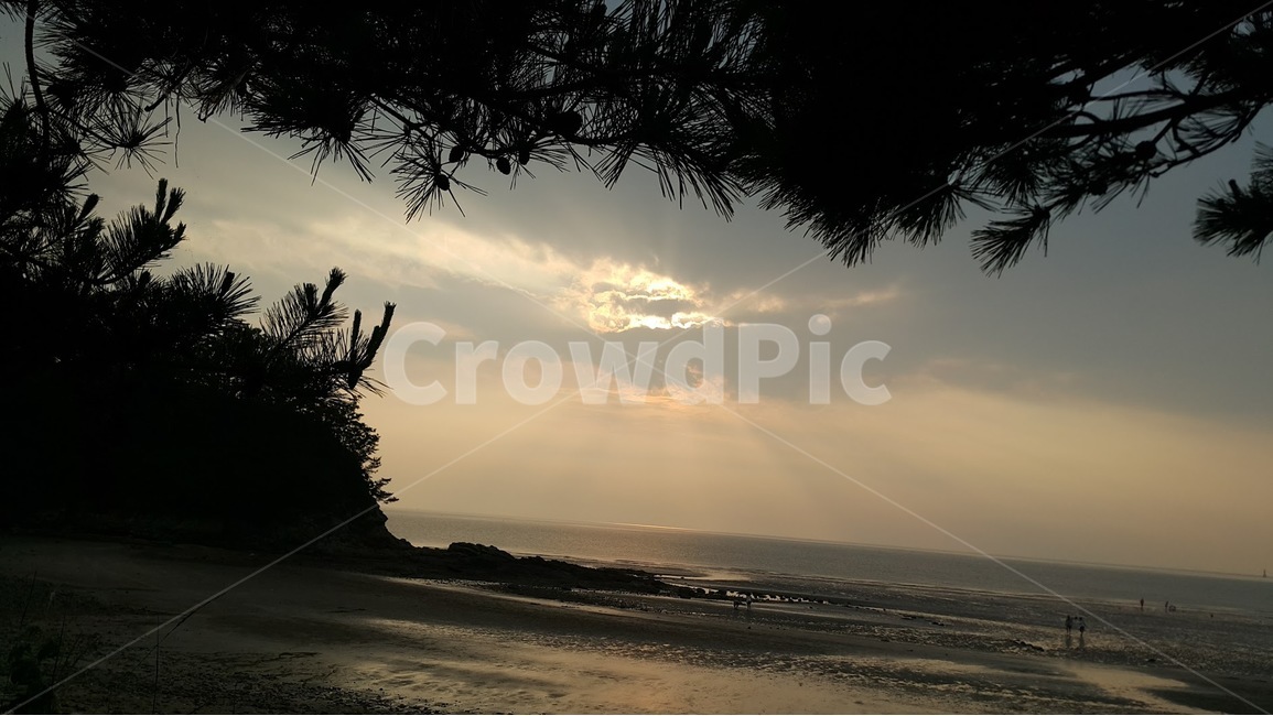 light,빛,flare,플레어,nature,자연,sunlight,햇빛,outdoors,옥외