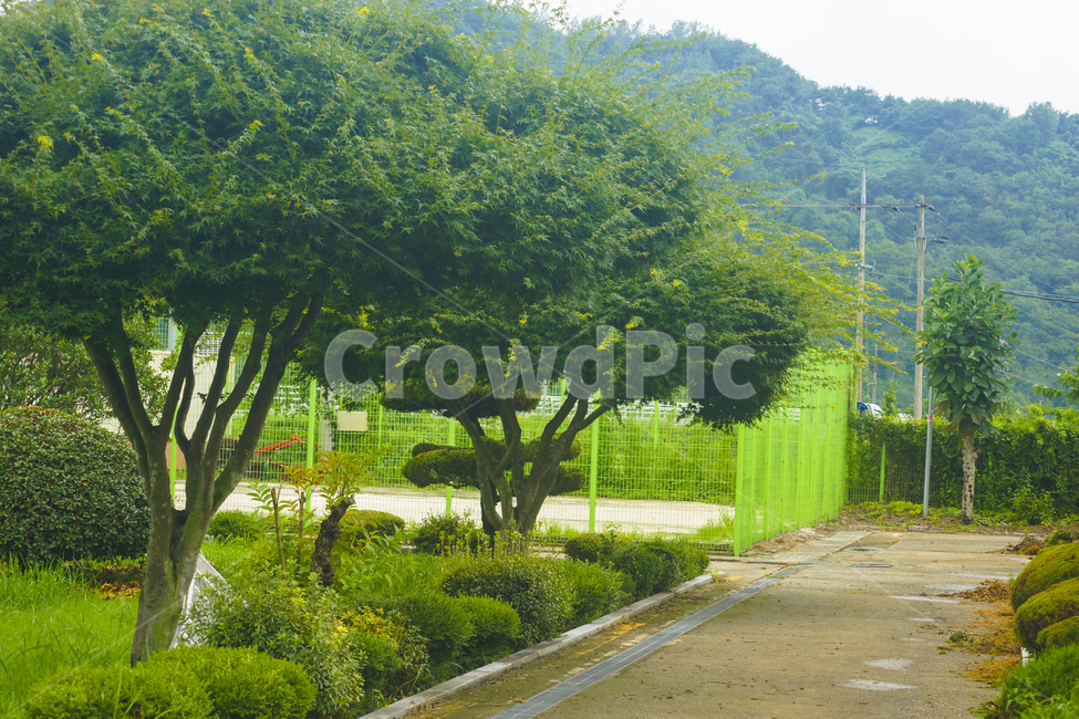 outdoors,옥외,garden,정원,정자,arbour