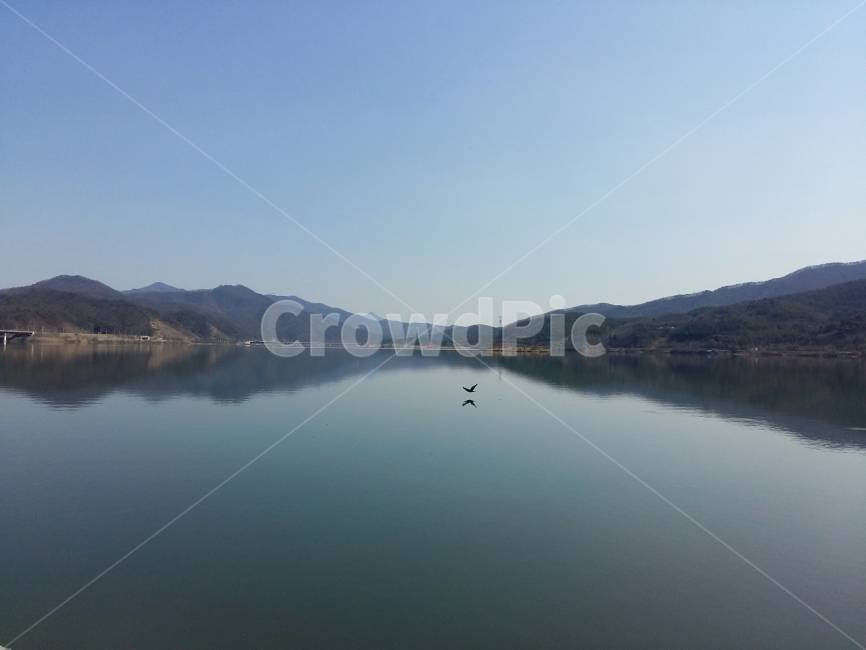 풍경,겨울,자연,nature,winter,두물머리,남한강,북한강,한국,Korea,liver,강,감성,겨울풍경,여행,관광,자연,풍경,nature,landscape,한국자연풍경,한국자연경관,korea nature landscape,동물,animal,조류,새,birds,water,물,outdoors,옥외,reservoir,저수지