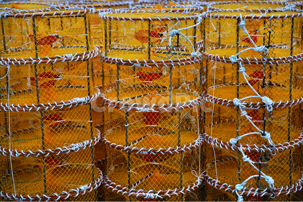 어망,어구,고기잡이,그물,어업,바다,어업,fishery,fishing industry