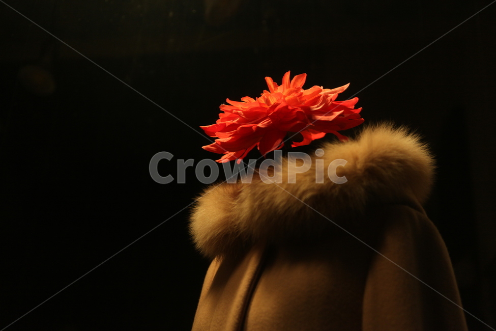 마네킹,꽃,모피,검은배경,붉은색,예술,mannequin,flower,fur,coat,blackbackground,redflower,art,꽃,flower,패션스타일,의상,fashion,style