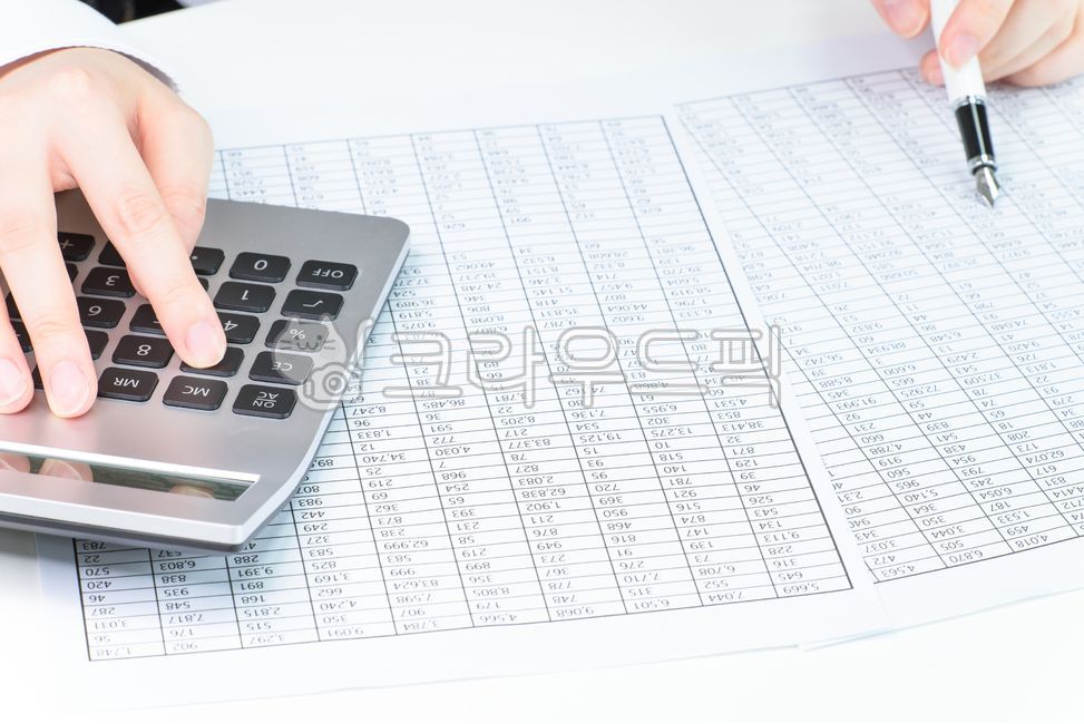 calculation,reports,charts,data,offices,numbers,taxes,Tax,accounting,office,bank,companies,financialstatements,estimate,funds,credit,budget,financial statements,estimates,profits,calculator,investment,tax,economy,transactions,economies,budgets,success,exp