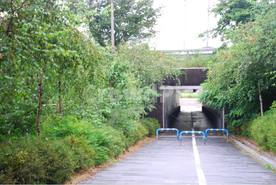 길,다리,자전거도로,비오는날,당산역근처,자연,풍경,nature,landscape,outdoors,옥외,arbour,정자,garden,정원
