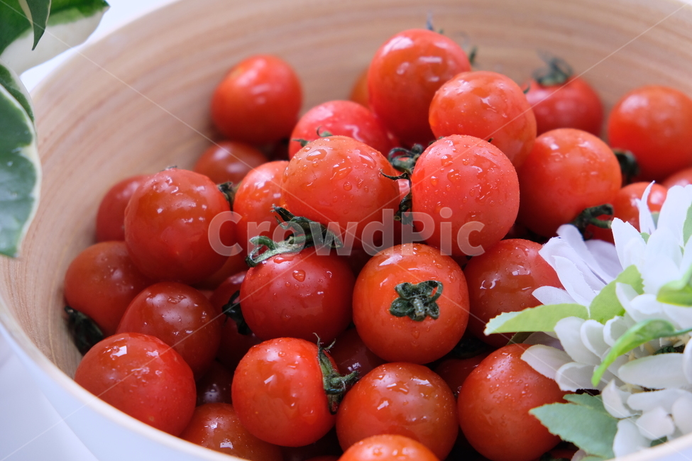 토마토,방울토마토,과일,야채,식품,신선,음식,tomato,droptomato,fruit,vegetables,fresh,food,음식,식재료,요리,food,cook,meal,dishes,food reserves,과일,열매,fruit,채소,야채,vegetables