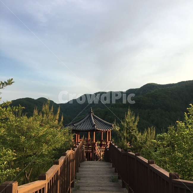 전망대,산,하늘,산책길,등산길,공원,나무
