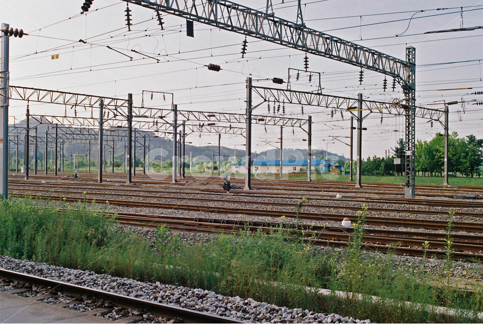 transportation,교통,rail,레일,철도,railway,기찻길,traintrack,교통,교통수단,traffic,transportation