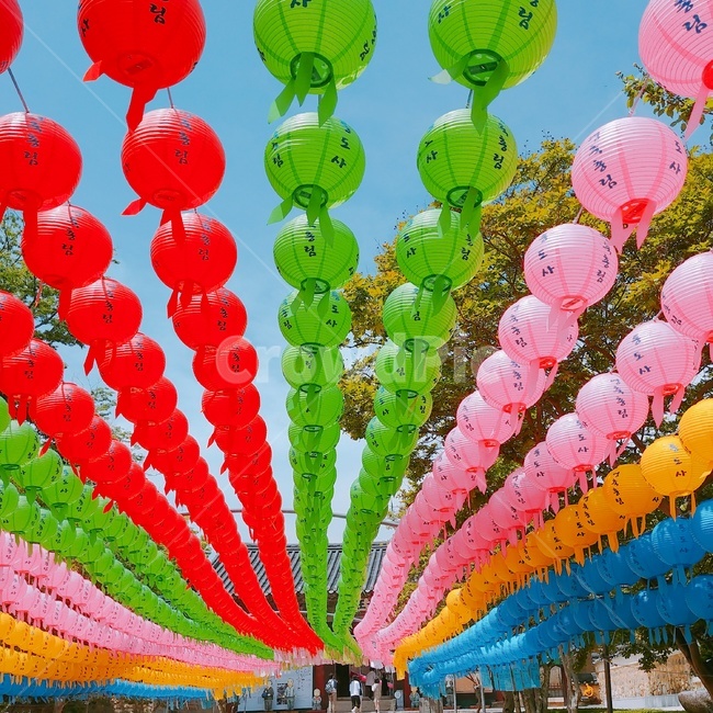 festival,연등,축제,절,여러가지색,하늘,나무,부처님오신날,석가탄신일,통도사,종교,신앙,religion,belief,faith,축제,행사,festival,carnival,event