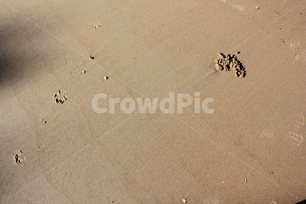 beach,brown,detail,earth,ground,mud,mudflat,nature,sand,soil,waterstreak,바닷가,해안가,갈색,브라운,땅,흙,모래,모래사장,해변,자연,진흙,갯벌,모래밭,탑앵글,탑뷰,고운모래,해변,바다,beach,sea
