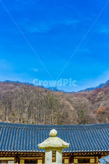 석탑,기와,선,사찰,문양,한국전통,한국문화,korean traditional,korean culture,종교,신앙,religion,belief,faith,건축물,건물외관,exterior,building,structure,architecture,construction