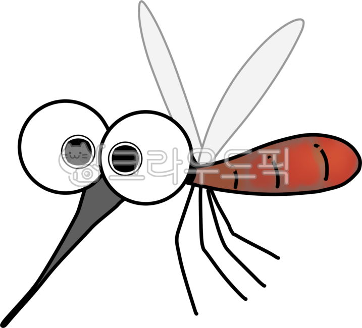 곤충,해충,여름,모기,모기가물다,기피제,animal,동물,insect,invertebrate,무척추동물,mosquito,흰줄모기,집모기,산모기,모기종류,빨간줄모기,피,피를빨다,날개,모기소리,무서움,부어오르다,피부,아이들,어린이,조심,주의,말라리아,뇌염모기,일본뇌염
