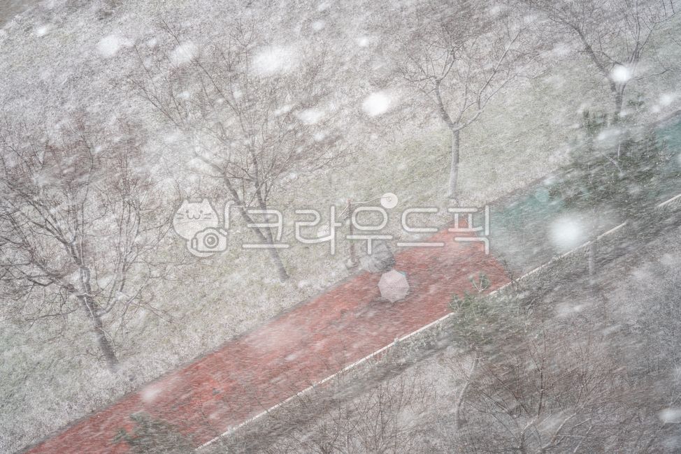 winter mood,snow scene,heavy snow,winter,cold,bright eyes,calamity,Natural Disasters,big eyes,Heavy snow warning,weather,sight,season,snowflake,storm,nature,blizzard,snowstorm,outdoor,snow,winter landscape,icicle