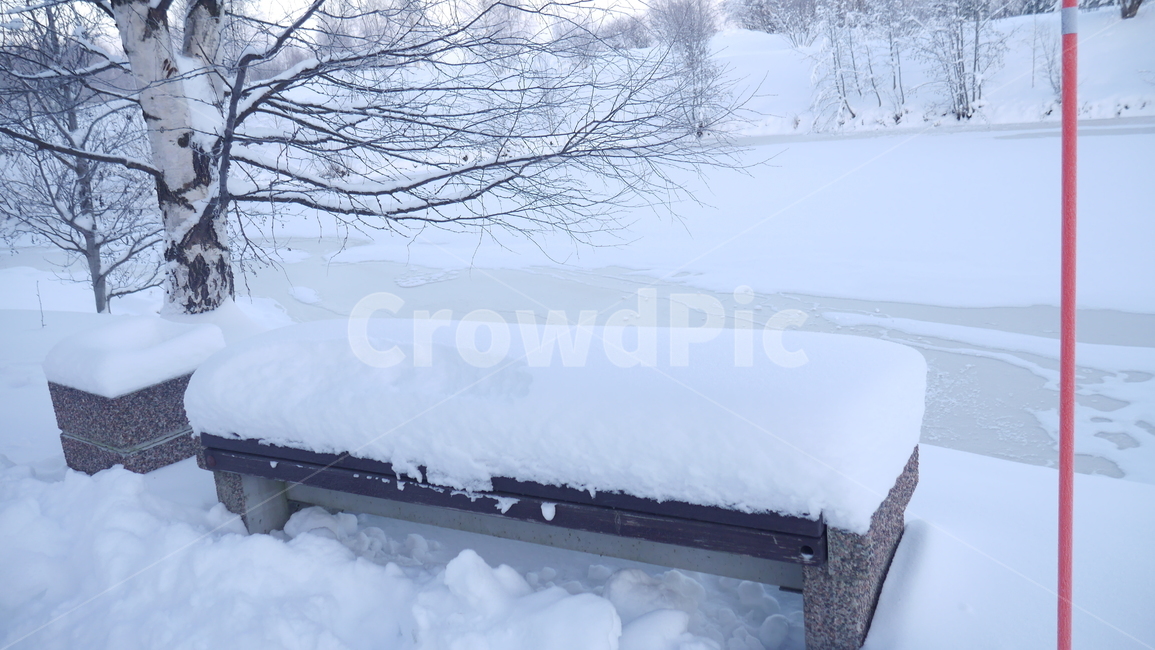snow,눈,winter,겨울,outdoors,옥외,nature,자연