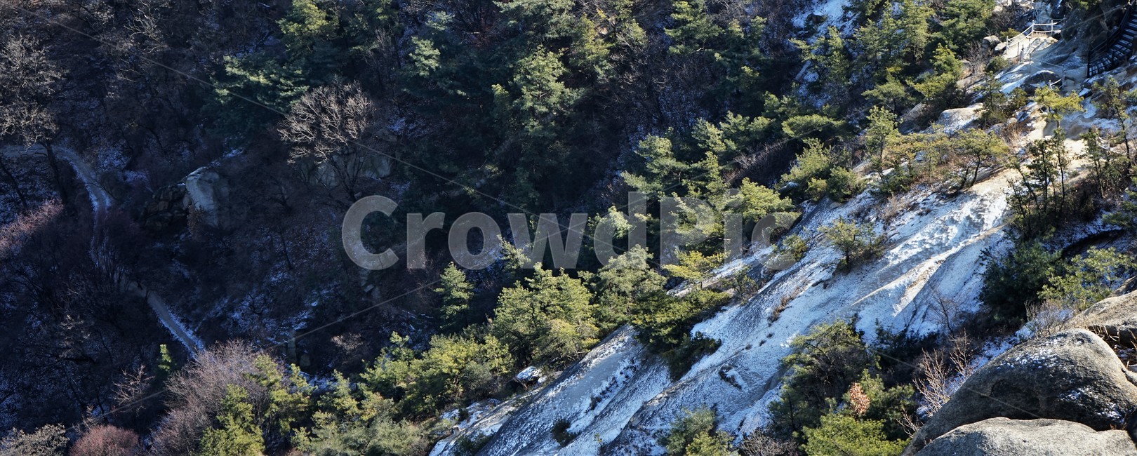 나무,빛,자연,산,겨울,숲,snow,wood,forest,shadow,pine,눈,그늘,그림자,winter,season,park,cold,감성,자연,풍경,nature,landscape,tree,plant,식물,conifer,구과 식물