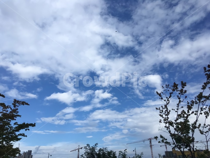 구름,흰색,하늘,파란하늘,cloud,white,sky,blue,bluesky,여름,summer,자연,nature,outdoors