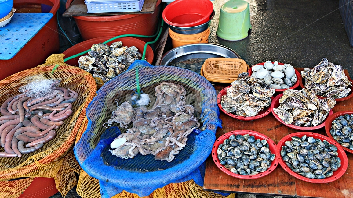 조개,식재료,먹거리,음식,조개구이,배경,자연,시장,마트,마켓,market,mart,market place,음식,식재료,요리,food,cook,meal,dishes,food reserves,수산물,해산물,fishery products,seafood