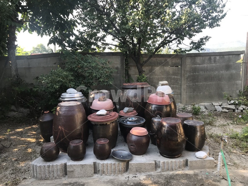 항아리,시골,뒷뜰,할머니네,할머니집,pot,koreanpot,전통,옛날집,backgarden,country,countryside,grandmother,grandparents