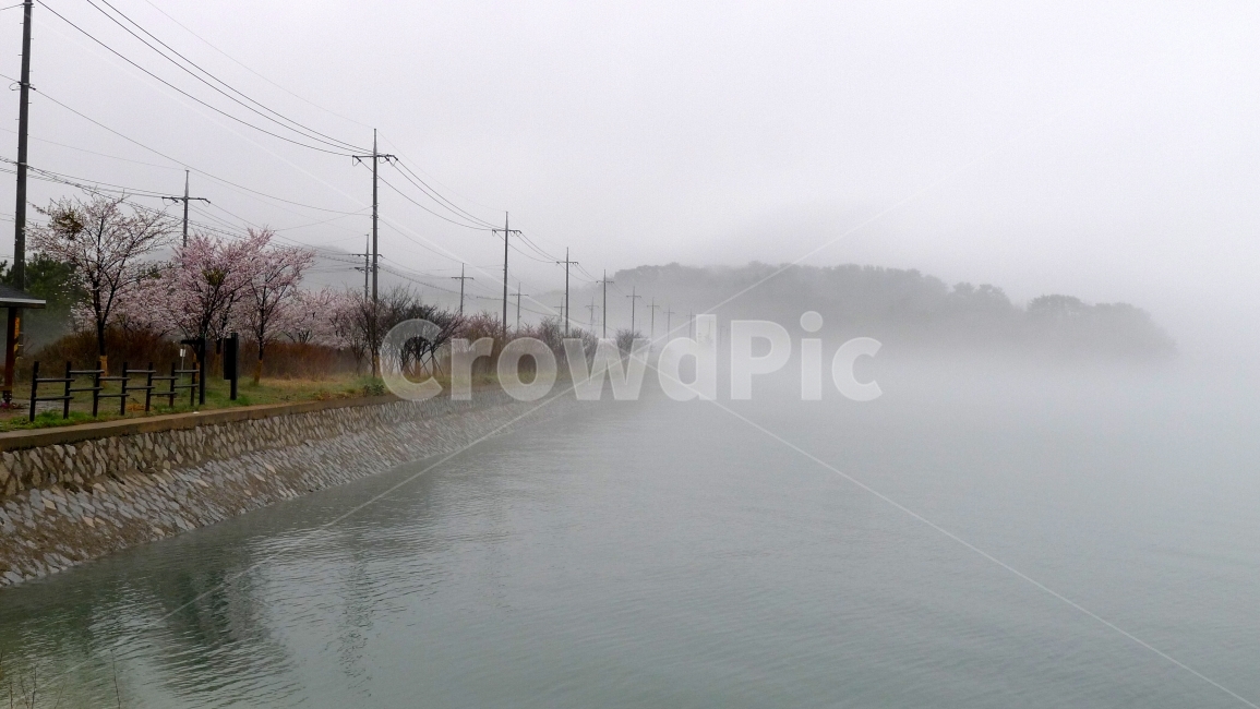 안개,호수,저수지,물안개,미세먼지,뿌연,뿌연안개,봄,계절,spring,season,자연,풍경,nature,landscape,한국자연풍경,한국자연경관,korea nature landscape,weather,날씨