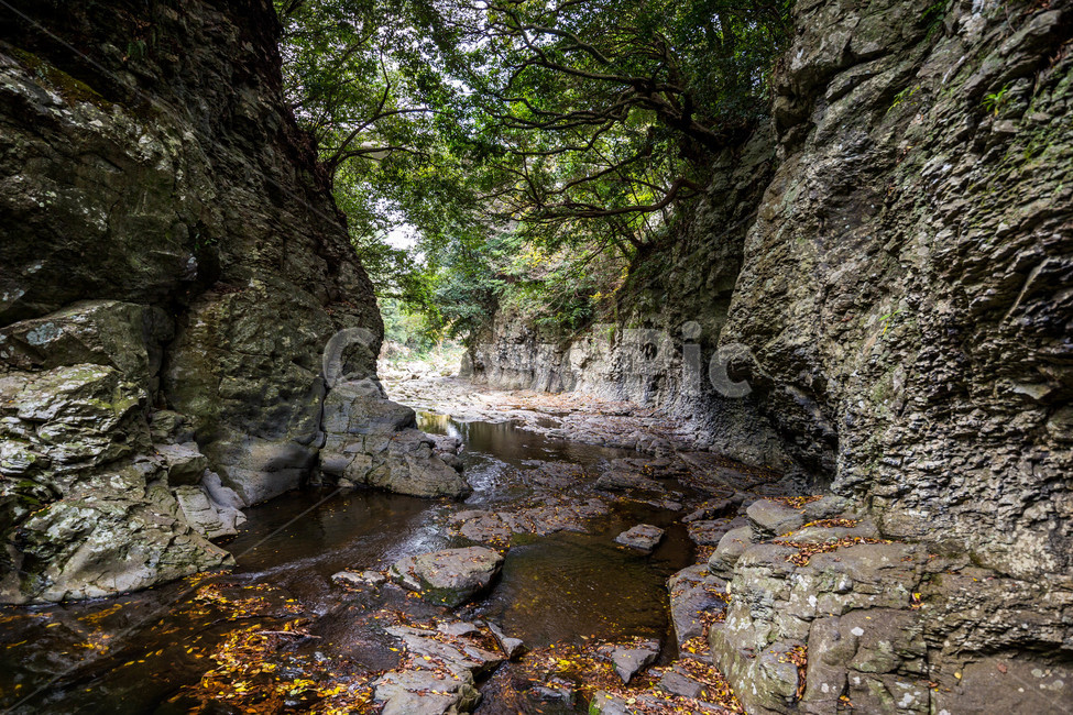 안덕계곡,계곡,제주도,풍경,landscape,자연,풍경,nature,landscape,한국자연풍경,한국자연경관,korea nature landscape,water,물,outdoors,옥외,creek,작은 만,stream,흐름