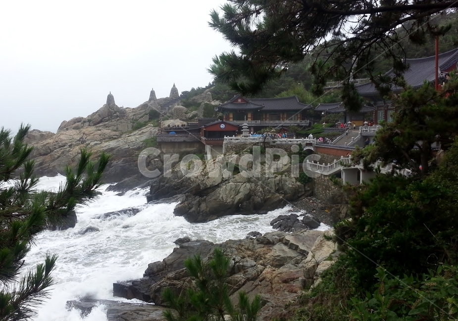 사찰,절,용궁사,해동용궁사,부산,한국,전통,종교,신앙,해변