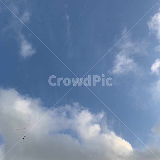 하늘,구름,sky,blue,cloud,자연,풍경,nature,landscape,outdoors,옥외,weather,날씨