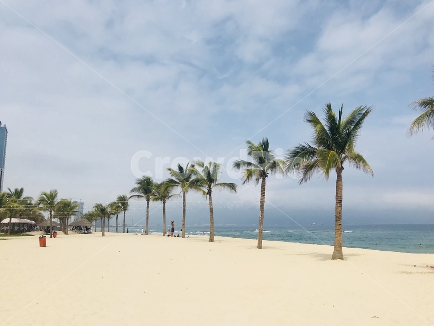 바다,해변,야자수,모래사장,미케비치,다낭,베트남,해변,바다,beach,sea