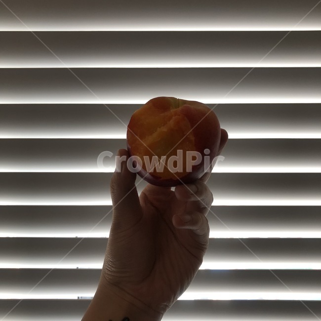 손,천도복숭아,과일,다이어트,청량,당도,복숭아,여름