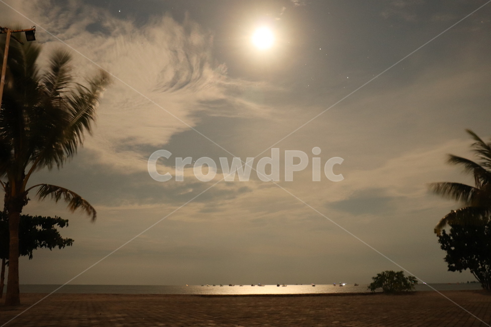 moon,clouds,boats,palmtrees,야자수,달,구름,별,해변,바다,beach,sea