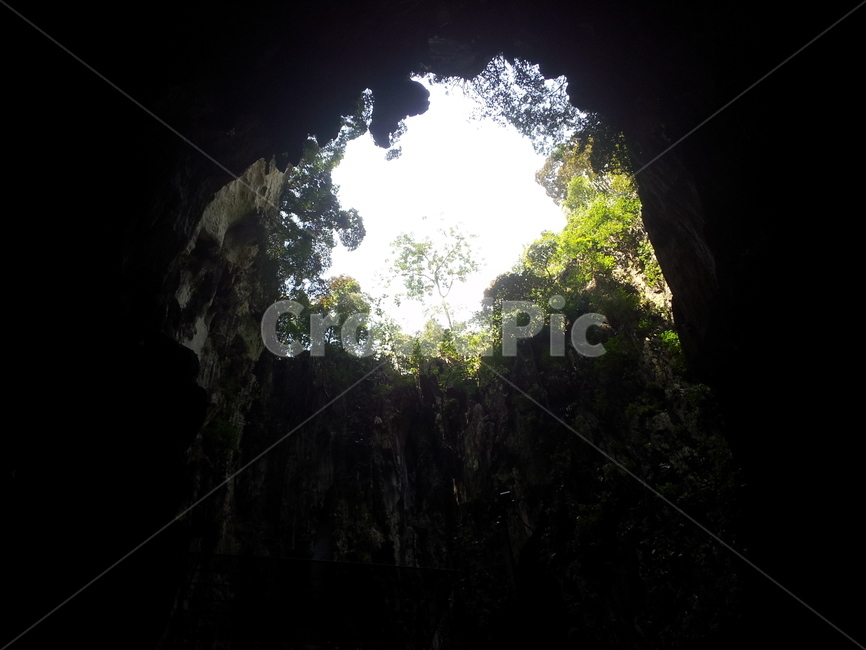 동굴,빛,자연,나무,풍경,자연,풍경,nature,landscape,cave