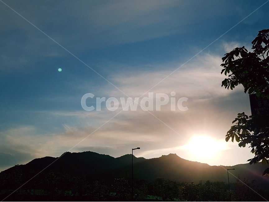 하늘,파랑,흰구름,풍경,나무,자연,풍경,nature,landscape,flare,플레어,light,빛