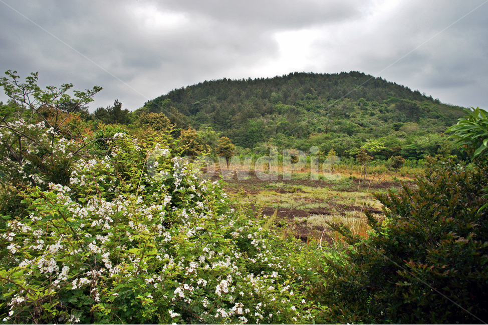 갑마장길,제주도,표선면,오름,따라비오름,기생화산,가시리,자연,풍경,nature,landscape,제주도,jeju,jeju island