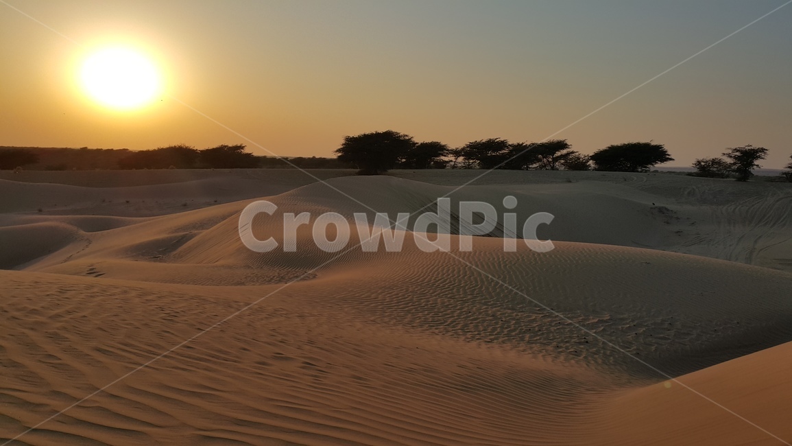 사막,일몰,낙타사파리,사막투어,인도