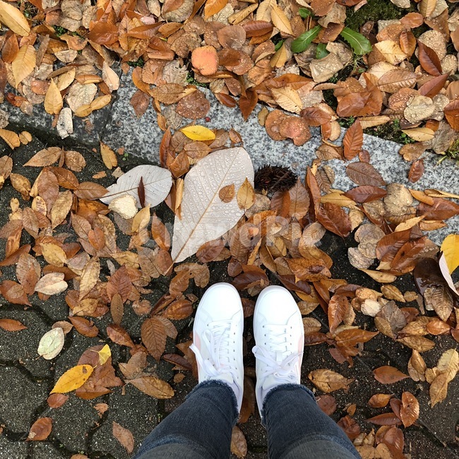 가을,낙엽,낙엽과신발,감성사진,흰신발,leaves,가을,계절,fall,autumn,season,plant,식물,leaf,잎,ground,바닥