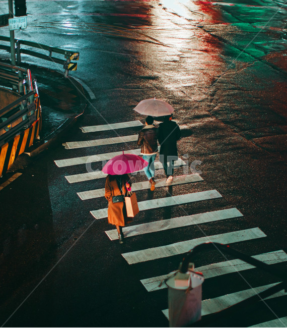 비오는날,밤,야경,횡단보도,신호등,건널목,아스팔트,asphalt,road,도로,person,사람,rain,rainy,night,야경,밤,풍경,nightscape,night,landscape,비,비오는날,rain,rainy
