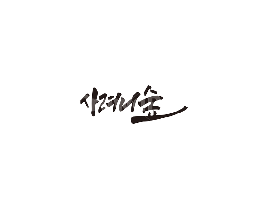 사려니숲,숲길,숲,제주,캘리그라피,캘리,제주도,캘리그라피,손글씨,calligraphy