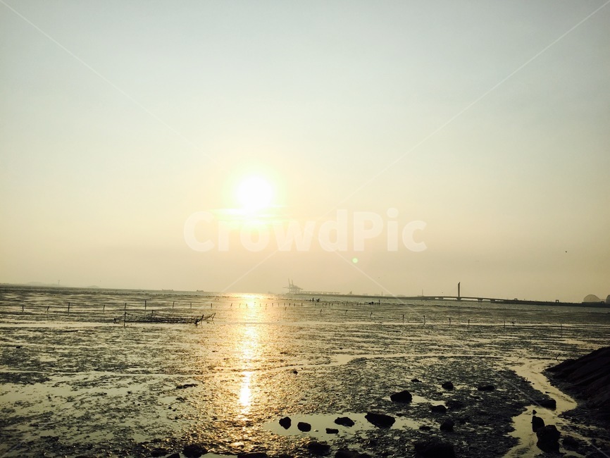 flare,light,sunlight,햇빛,자연,nature