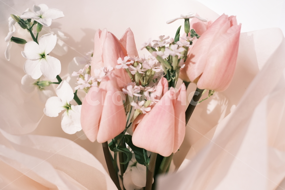 꽃,꽃다발,감성,감성사진,색감,분홍색,꽃,flower