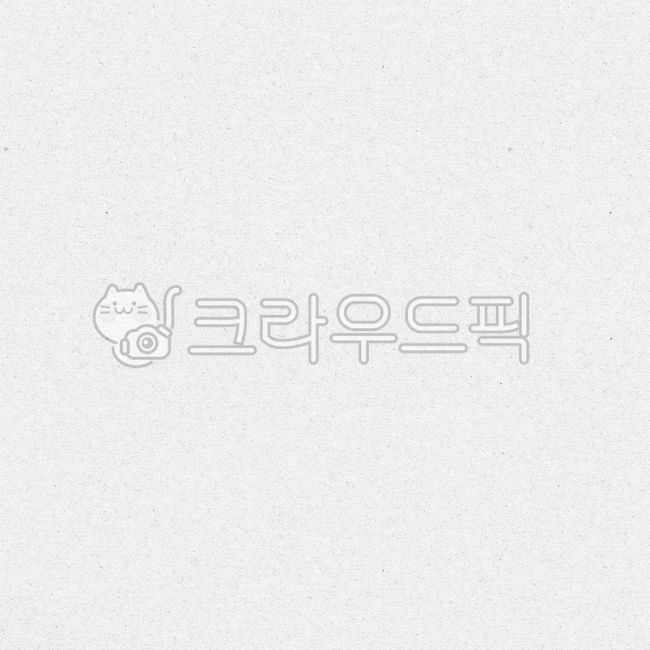 종이,종이질감,텍스쳐,질감,배경,흰색배경,배경지,일러스트,텍스처,흰배경,백그라운드,테두리,재질,바탕,무늬,배경화면,엽서,소스,편지지,메모지,배경이미지,일러스트레이션,디자인,질감텍스쳐,질감텍스처,종이텍스쳐,종이텍스처,종이질감텍스쳐,종이질감텍스처,종이질감배경,종이배경,캔버스