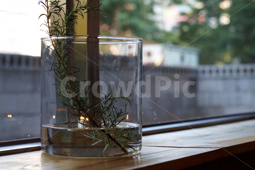 감성,인테리어,카페,식물,스냅,감성사진,스냅사진,cafe,plant,snap,공간,분위기,mood,식물,자연,plants,nature,감성,sensible,feeling,인테리어,실내디자인,interior design