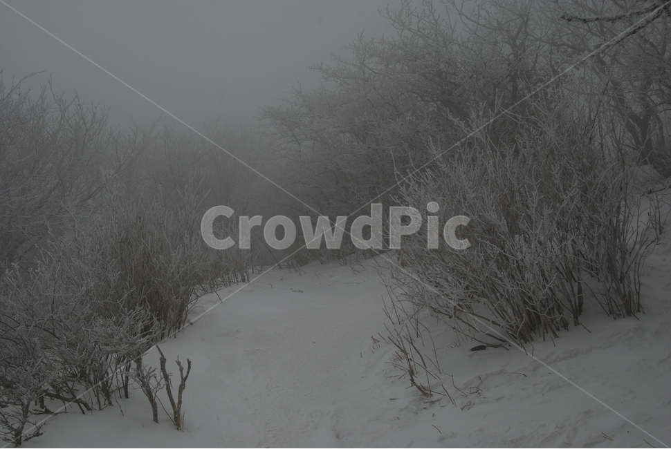 겨울,산,공원,나무,탐방로,겨울,계절,winter,season,자연,풍경,nature,landscape,blizzard,눈보라,storm,폭풍,outdoors,옥외,snow,눈