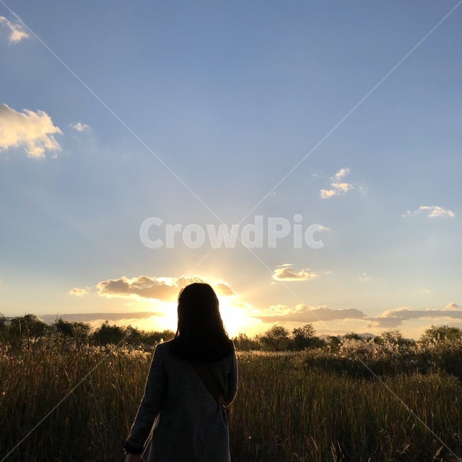 여자,실루엣,저녁,저녁하늘,가을,갈대숲,갈대,fall,가을,계절,fall,autumn,season,사람,인물,인간,human,person,여성,여자,woman,female,lady,flare,플레어,light,빛,nature,자연,outdoors,옥외