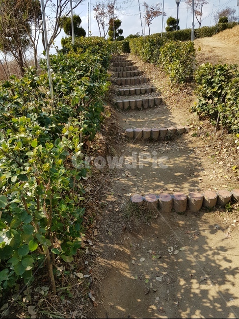 길,흙길,산길,풍경,숲,봄,자연,풍경,nature,landscape,ground,바닥,road,도로,dirt road,gravel,자갈