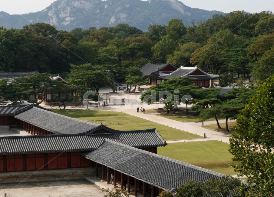 창경궁,전통,고궁,가을,풍경,한국전통,한국문화,korean traditional,korean culture,랜드마크,landmark,tourist attraction,한국랜드마크,한국관광지,한국명소,korea landmark,korea tourist attraction,건축물,건물외관,exterior,building,structure,architecture,construction