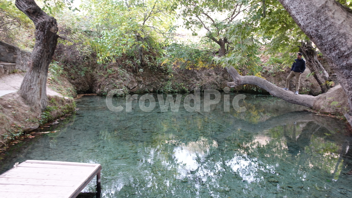 lake,호수,연못,자연,nature,blue,파랑,나무,tree